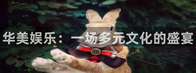 欧陆平台,apk