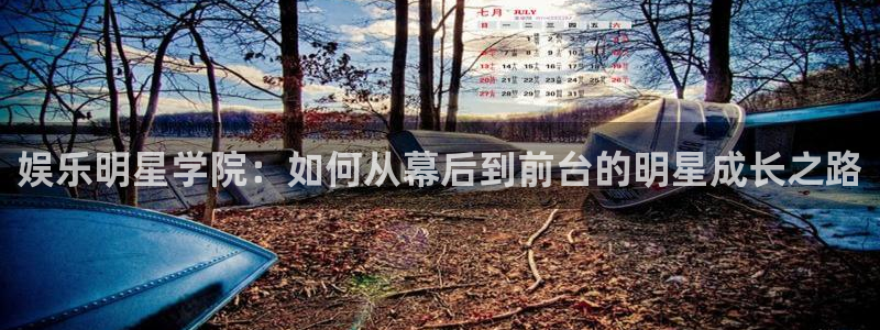 欧陆平台预测在线预测