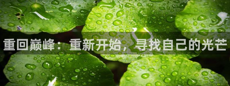 壹号top娱乐