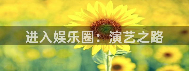 欧陆平台吧