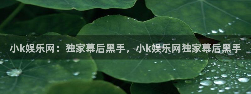 壹号app下载官方网站
