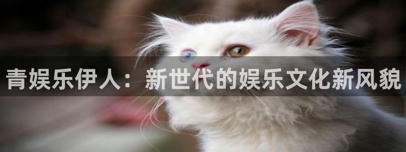 欧陆平台