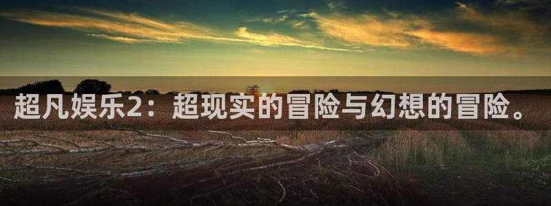 壹号玩家app下载