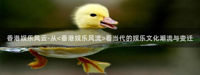 欧陆平台平台管网入口