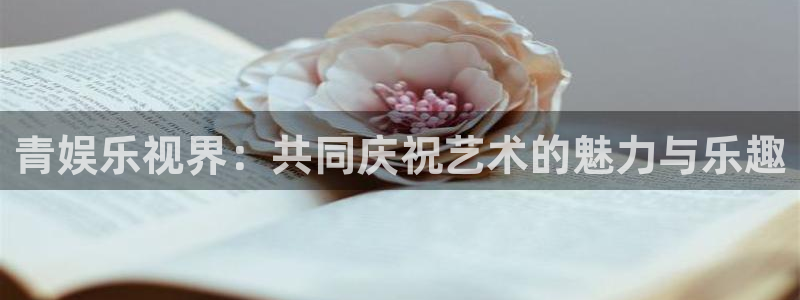 欧陆平台路线1