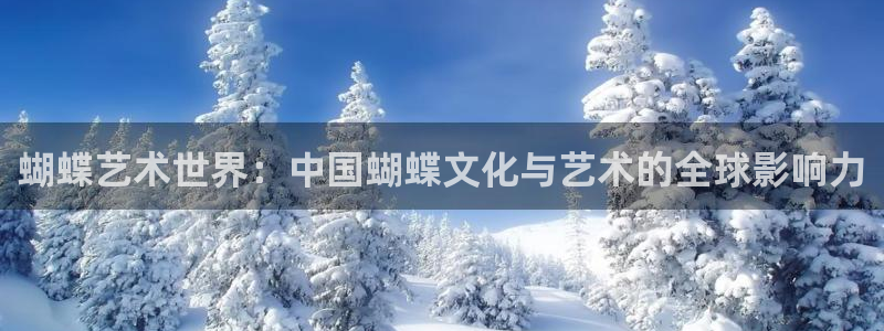 壹号大舞台娱乐传媒