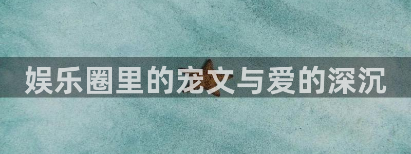 壹号大舞台官网：娱乐圈里的宠文与爱的深沉