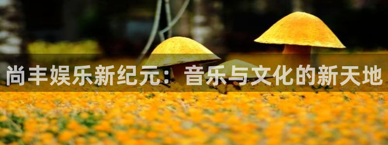 欧陆平台注册平台