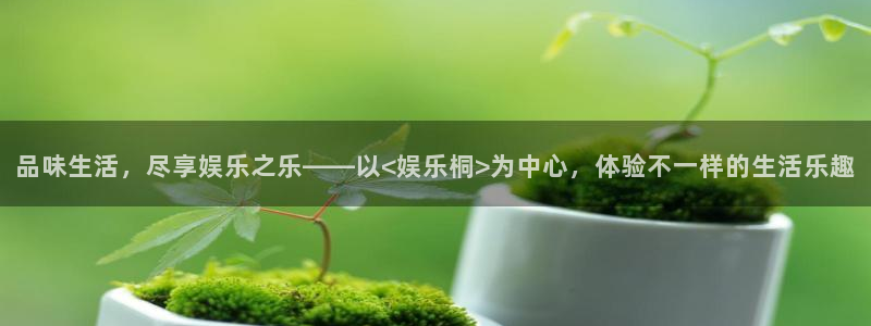 欧陆平台.ccm官网版